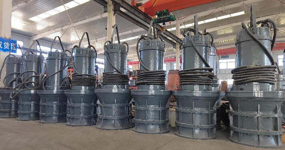 Horizontal axial flow pumps1