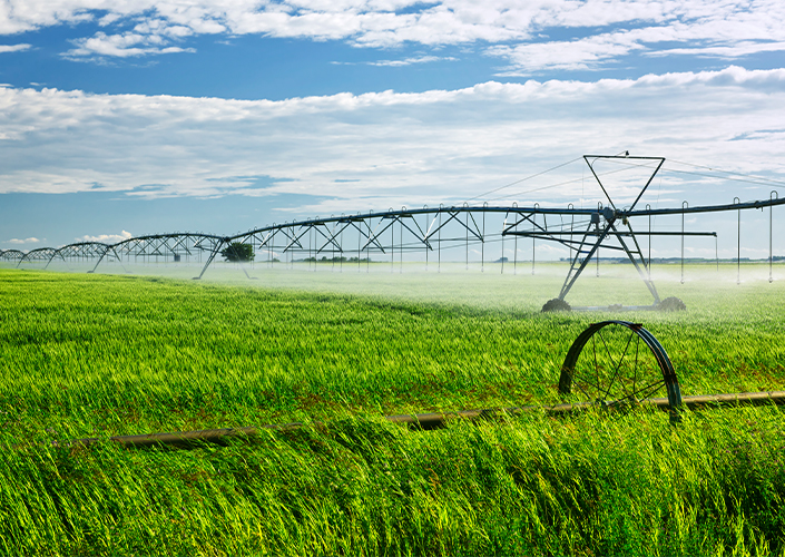 Riego agrícola